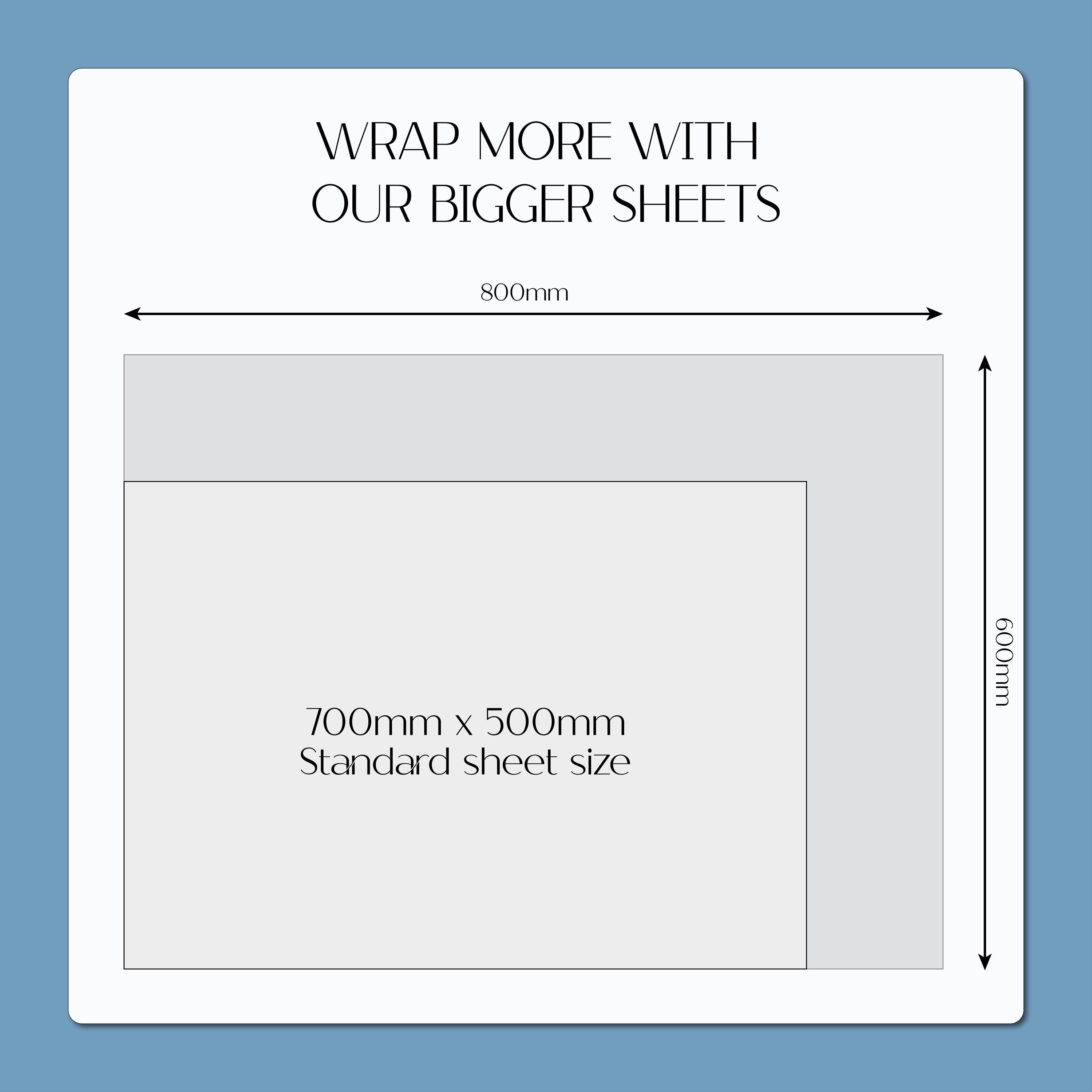 Chameleons Gift Wrap, Eco Friendly Jungle Kids Gift Wrapping Paper, 100% Recyclable, Luxury Sustainable Kraft Birthday.