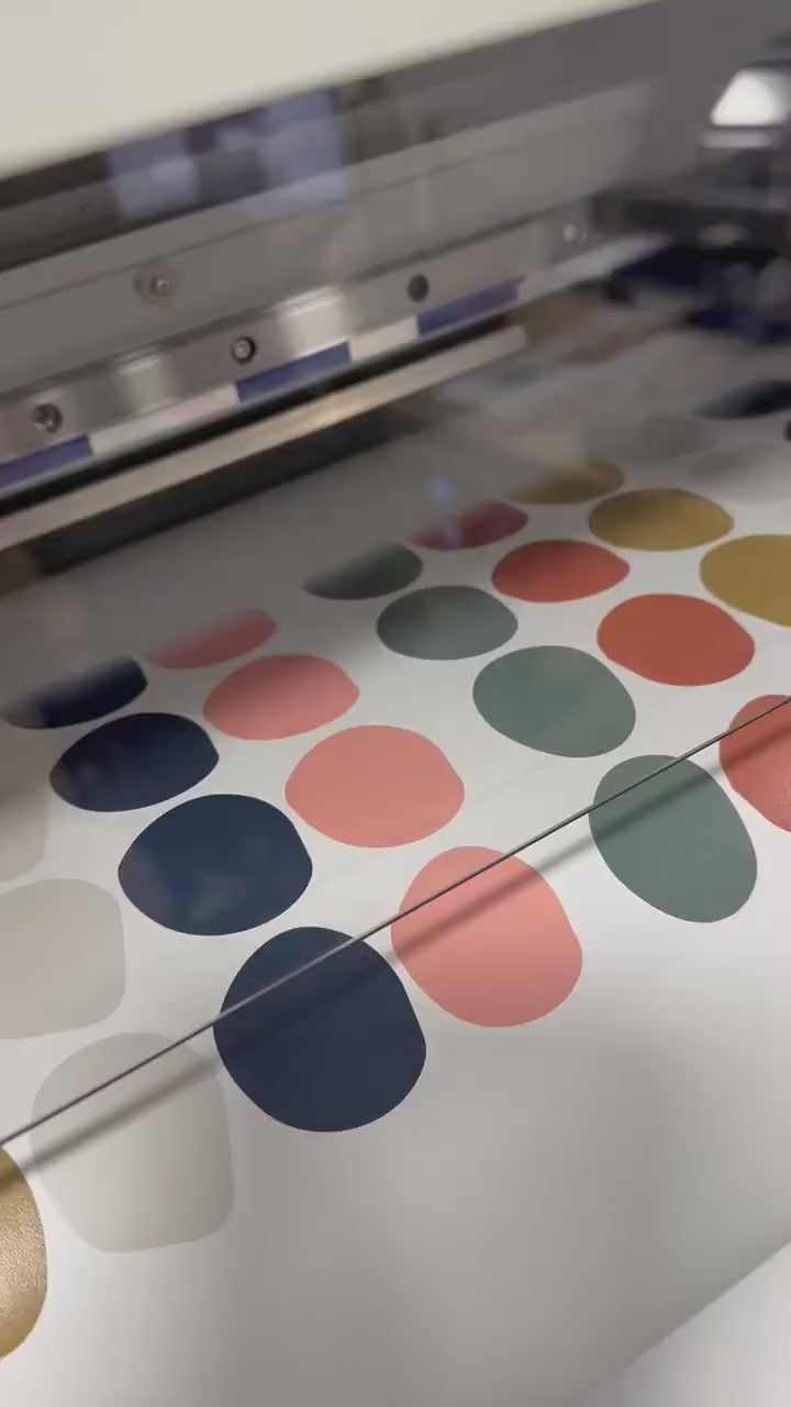 Load video: Coloured Dot Stickers