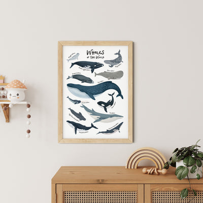 The Whales Of The World Nursery Print from My Store is a framed illustration featuring labeled whale species. Its perfect as educational nursery art and hangs elegantly above a wooden cabinet decorated with items and plants.